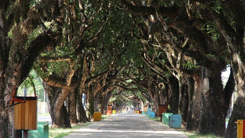 Desafios e Vantagens de Morar em uma Cidade Pequena