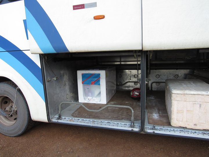 Ônibus de Novo Remanso a Itacoatiara
